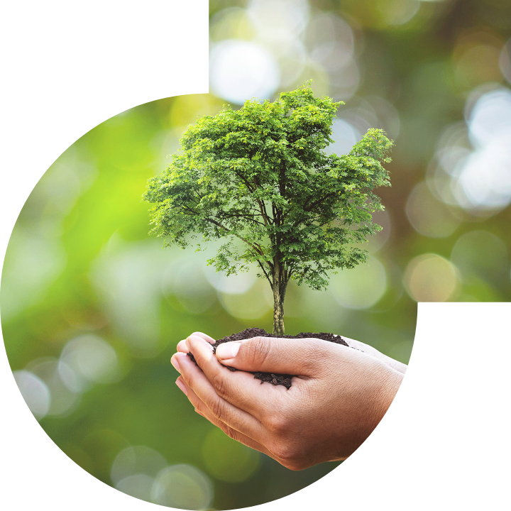 关怀人类、文化、环境与社会